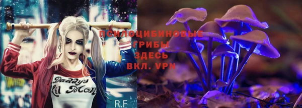 эйфоретик Аркадак